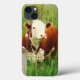 Cute Cudely Cow 4Claire