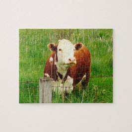 Cute Cudely Cow Friend 4Jeremy Pussel