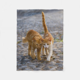 Cute Cudely Kittens Friends Stony Väg Photo - Fleecefilt