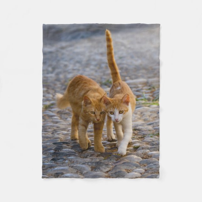 Cute Cudely Kittens Friends Stony Väg Photo - Fleecefilt (Framsidan)