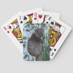 Cute Cudely Koala Träd Animal Wildlife Australien Casinokort