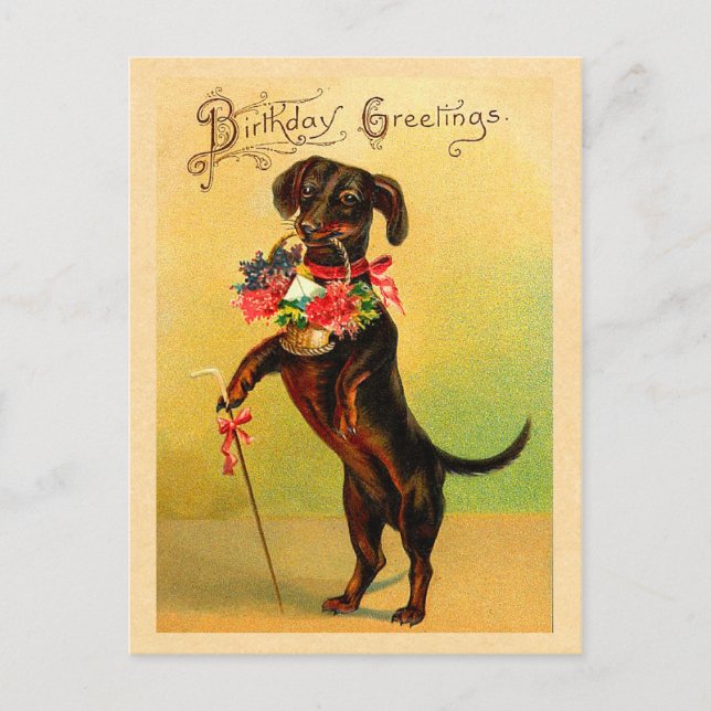 Cute Dachshund Birthday vykort (Framsida)