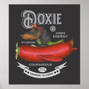 Cute Dachshund Flies Sause-Shaped Flygplan Poster