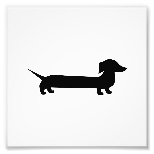 Cute Dachshund Fototryck (Framsidan)