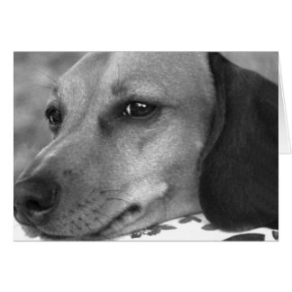 Cute Dachshund Hälsningskort