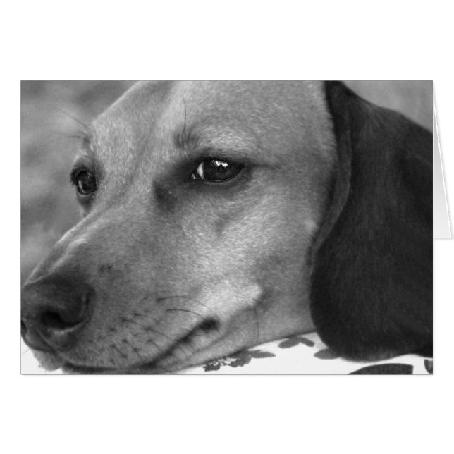 Cute Dachshund Hälsningskort (Framsidan Horizontal)