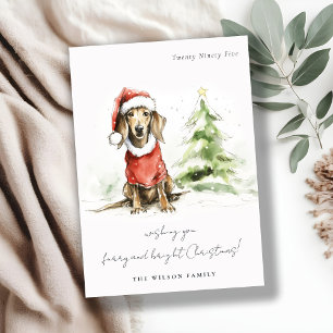 Cute Dachshund-Hårig och ljus jul Julkort