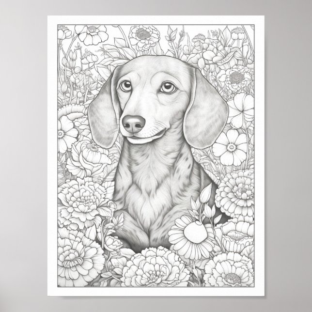 Cute Dachshund Hund Coloring Poster (Framsidan)