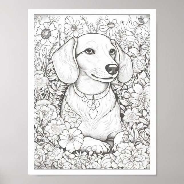 Cute Dachshund Hund Coloring Poster (Framsidan)
