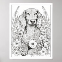 Cute Dachshund Hund Coloring Poster