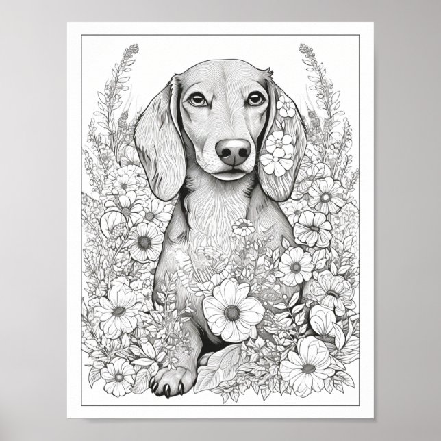 Cute Dachshund Hund Coloring Poster (Framsidan)
