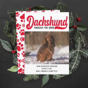 Cute Dachshund Hund jul-Anpassningsbarna Bild Phot Julkort