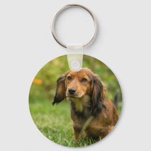 Cute Dachshund hund Nyckelring