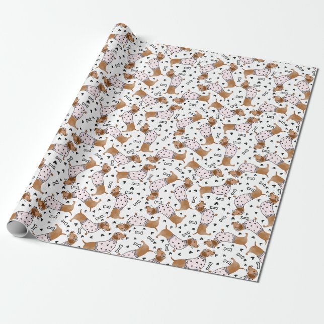 Cute Dachshund hundar med rosa jumper Presentpapper (Utrullad)