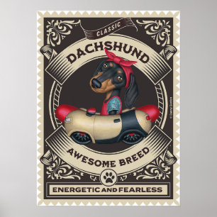Cute Dachshund in Sause Shaped Car Poster