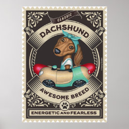 Cute Dachshund in Sause Shaped Car Poster
