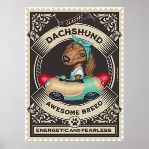 Cute Dachshund in Sause Shaped Car Poster