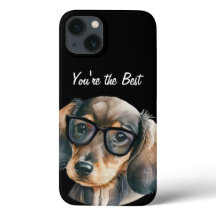 Cute Dachshund med svarta glasögon