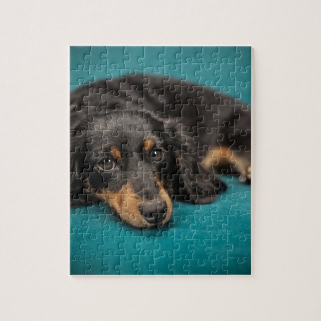 Cute Dachshund nere Pussel (Vertikal)
