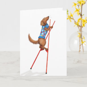 Cute dachshund som går på stilkort kort
