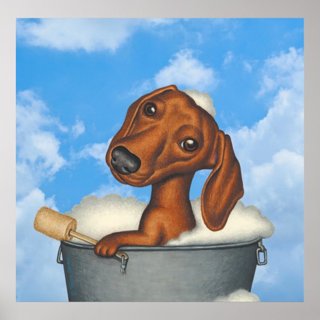 Cute Dachshund tar Bubble Bath ut Poster (Framsidan)