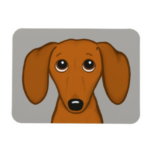 Cute Dachshund   Wiener-Hund för Tecknad Magnet