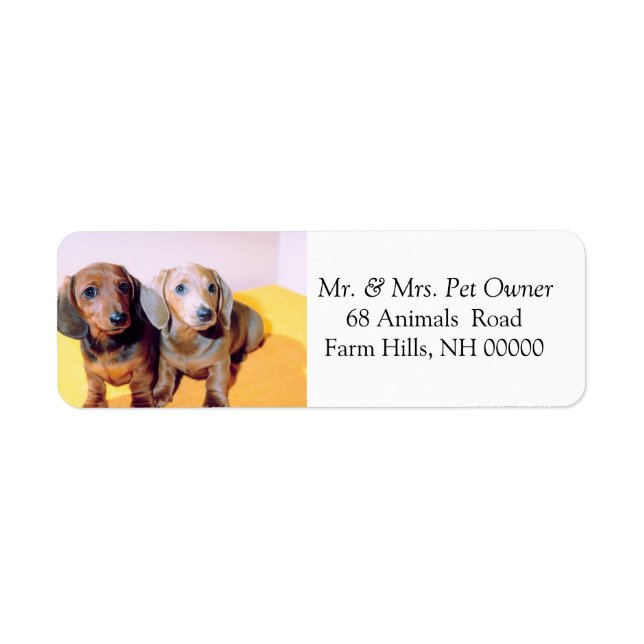 Cute Dachsund Puppies Returadress Mail Stickers Returadress Etikett (Framsidan)