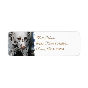 Cute Dalmatian Adressetiketters Returadress Etikett