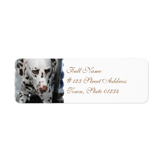 Cute Dalmatian Adressetiketters Returadress Etikett (Framsidan)