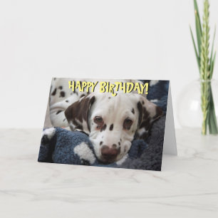 Cute dalmatian puppy-födelsedagskort kort