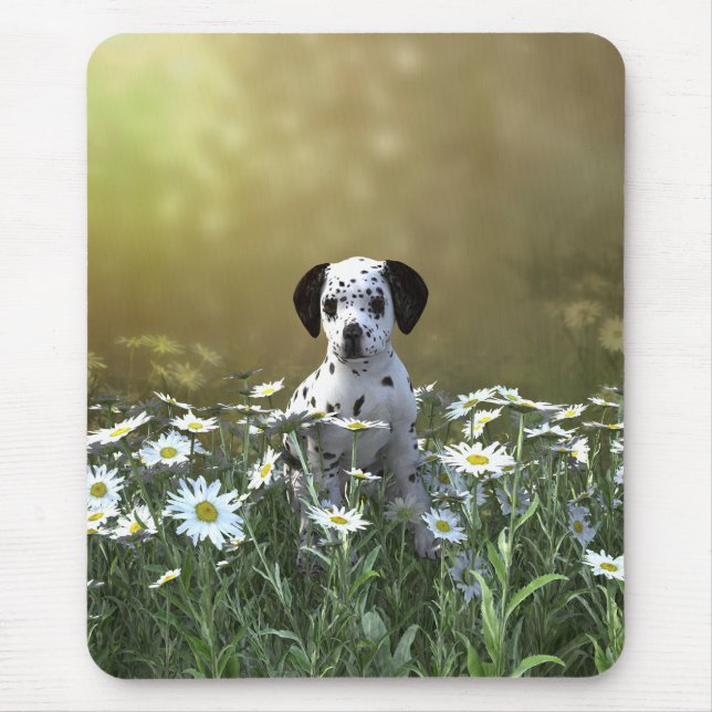 Cute Dalmatian Puppy i Daisy Musmatta (Framsidan)