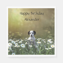 Cute Dalmatian Puppy i Daisy