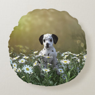 Cute Dalmatian Puppy i Daisy Rund Kudde