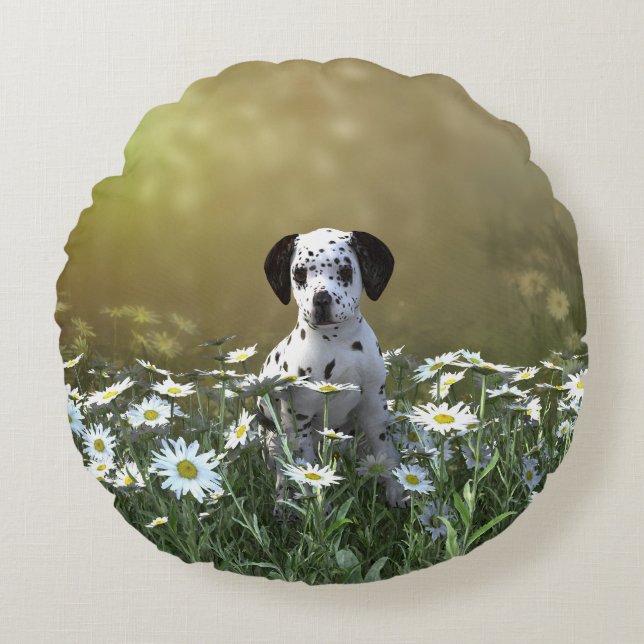 Cute Dalmatian Puppy i Daisy Rund Kudde (Framsidan)