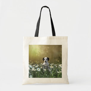 Cute Dalmatian Puppy i Daisy Tygkasse