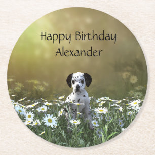 Cute Dalmatian Puppy i Daisy Underlägg Papper Rund