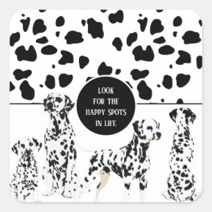 Cute Dalmatians Black & White Lycklig Spots Fyrkantigt Klistermärke