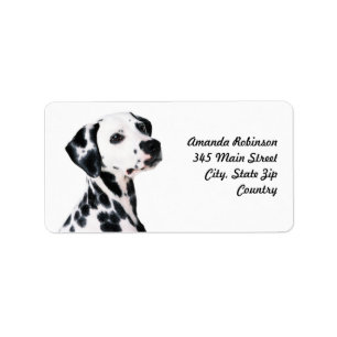 Cute Dalmatien Hund Adressetikett