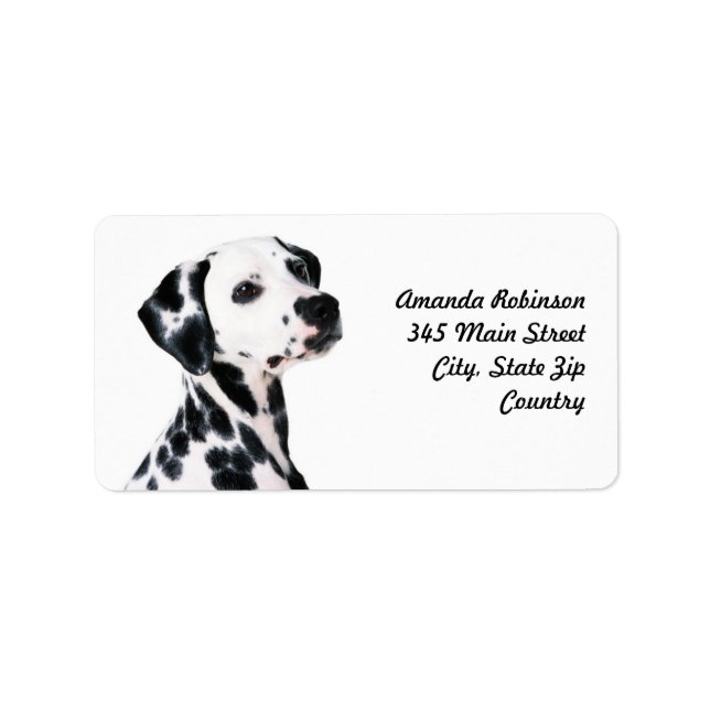Cute Dalmatien Hund Adressetikett (Framsidan)