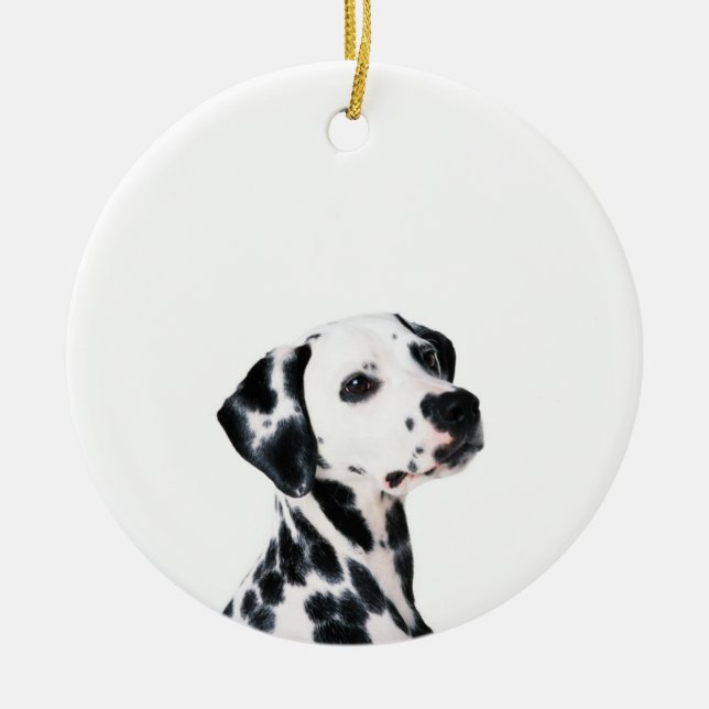 Cute Dalmatien Hund Julgransprydnad Keramik (Framsidan)