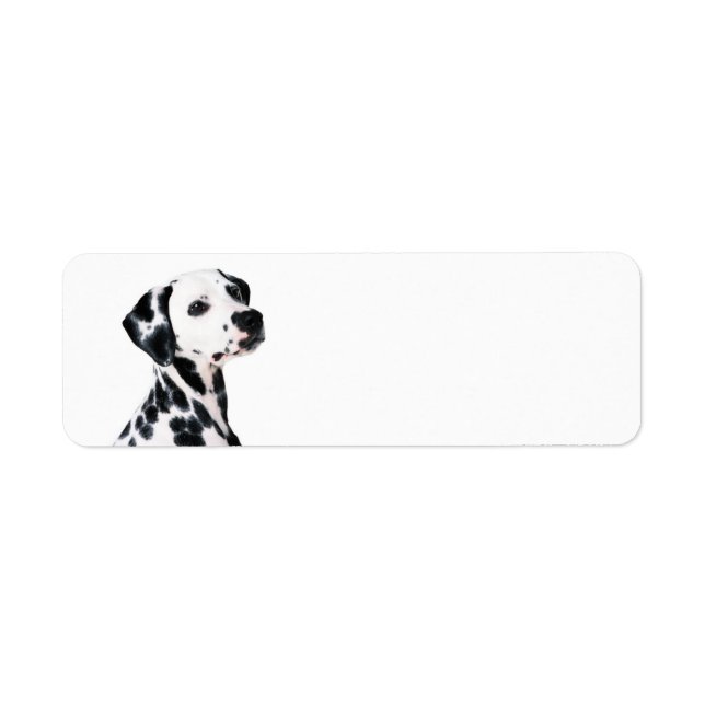 Cute Dalmatien Hund Returadress Etikett (Framsidan)