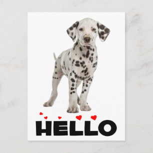 Cute Dalmatien Puppy Hund Hej Thinking Vykort
