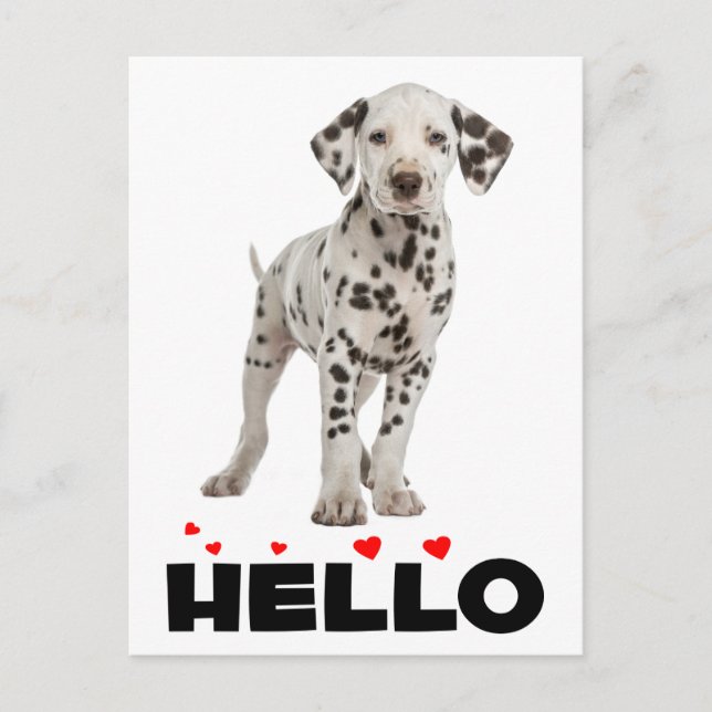 Cute Dalmatien Puppy Hund Hej Thinking Vykort (Framsida)