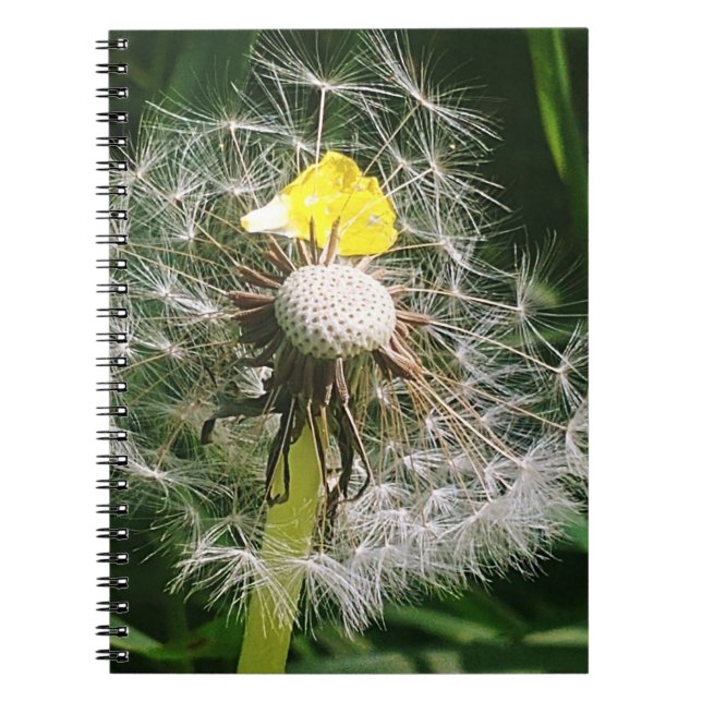 Cute dandelion anteckningsbok (Framsidan)