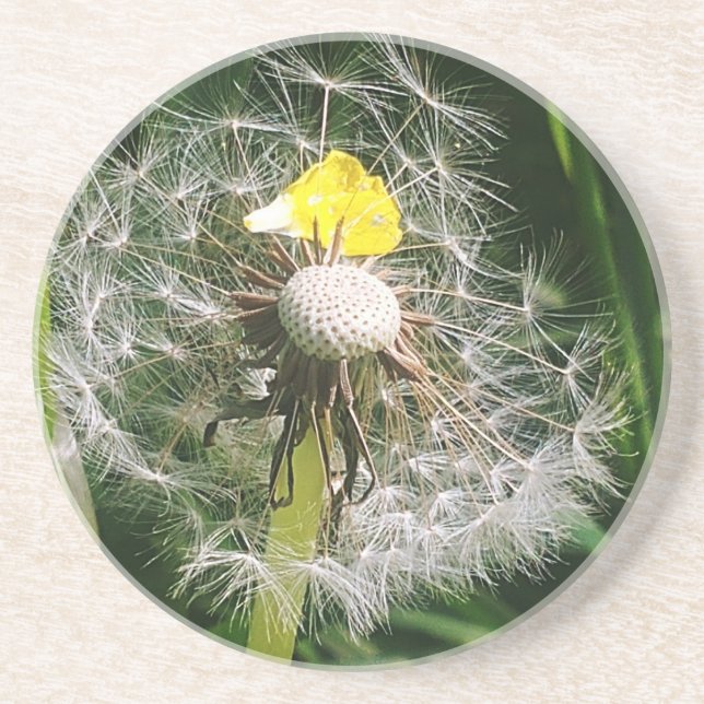 Cute dandelion underlägg (Framsidan)