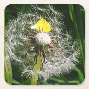 Cute dandelion underlägg papper kvadrat
