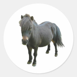 Cute Dartmoor Pony Runt Klistermärke