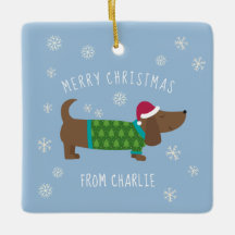 Cute Daschund Photo jul