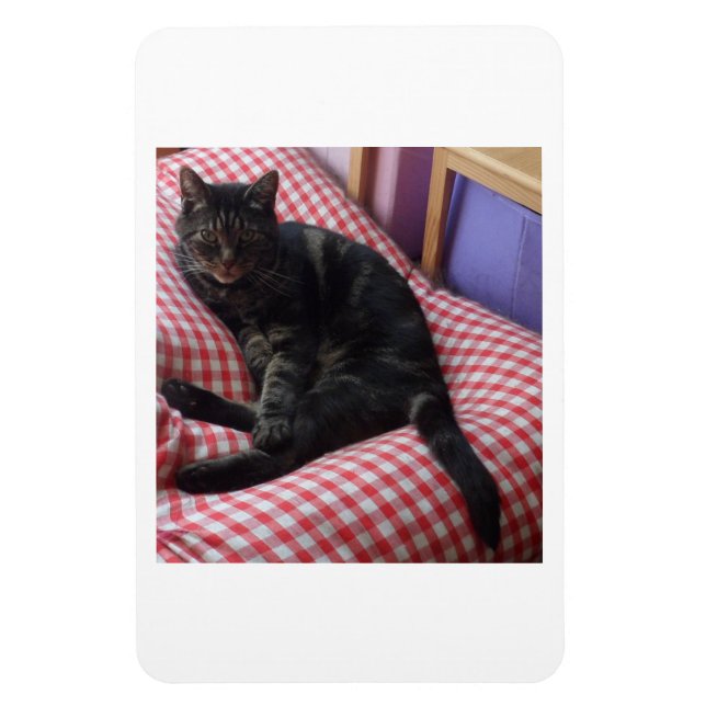 Cute Dave Flexible Photo Magnet (Vertikal)