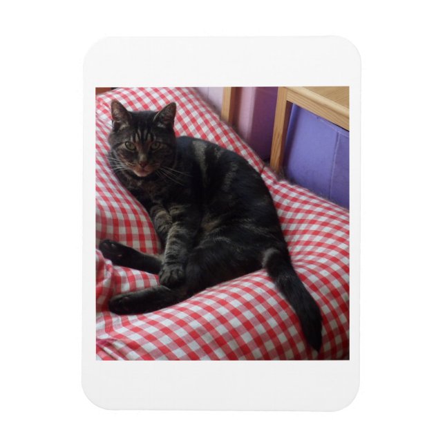 Cute Dave Flexible Photo Magnet (Vertikal)